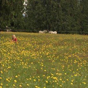 Meet your Posher, Justice